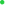 Vector